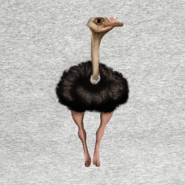 Cute Ostrich Drawing by Play Zoo